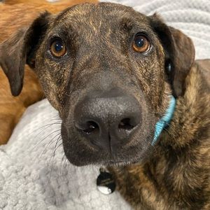 Meet your Posher, Jaden